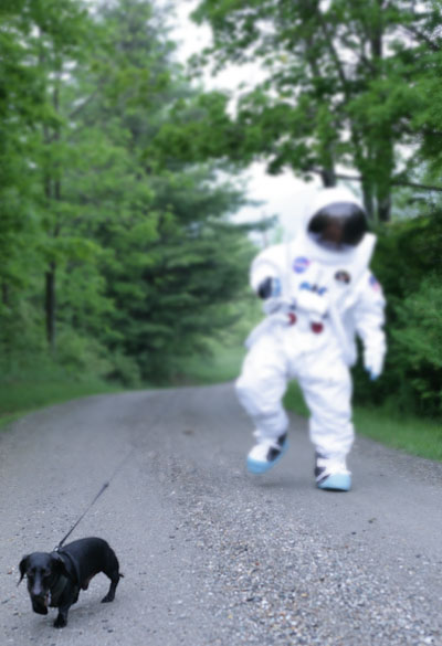 Spacewalk the dog